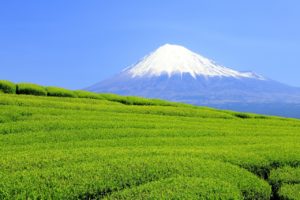 静岡富士山