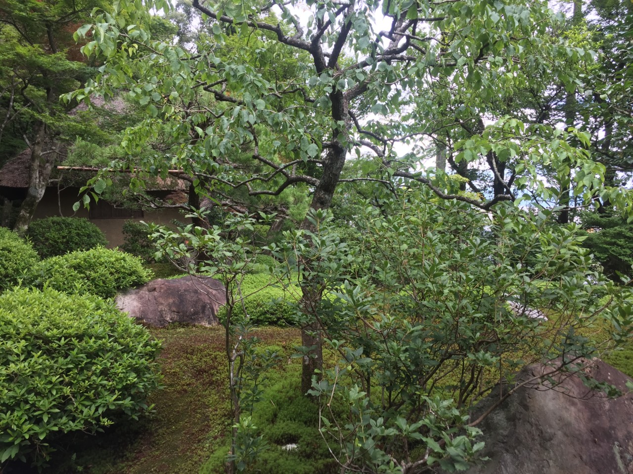京都鈴虫寺